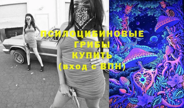 прущая мука Армянск