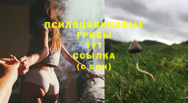 прущая мука Армянск