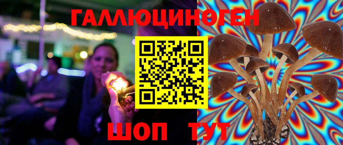 цены   Вход с VPN  Белая Калитва  Псилоцибиновые грибы Psilocybine cubensis 