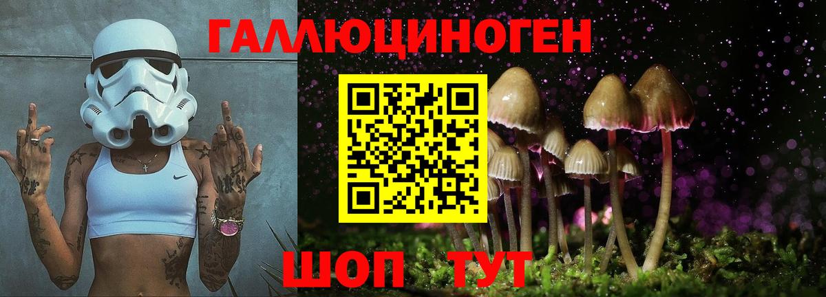 Псилоцибиновые грибы мицелий Белая Калитва